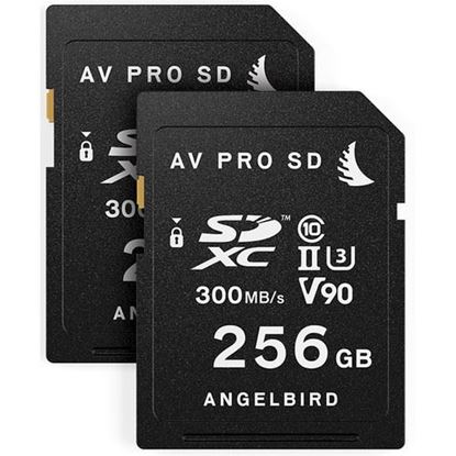 Picture of Angelbird Match Pack for Panasonic EVA1 256GB | 2 PACK
